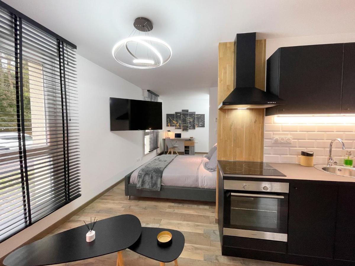 דירות Freyming-Merlebach Easy Location - Parking - Free Wifi - Tourism And Business מראה חיצוני תמונה